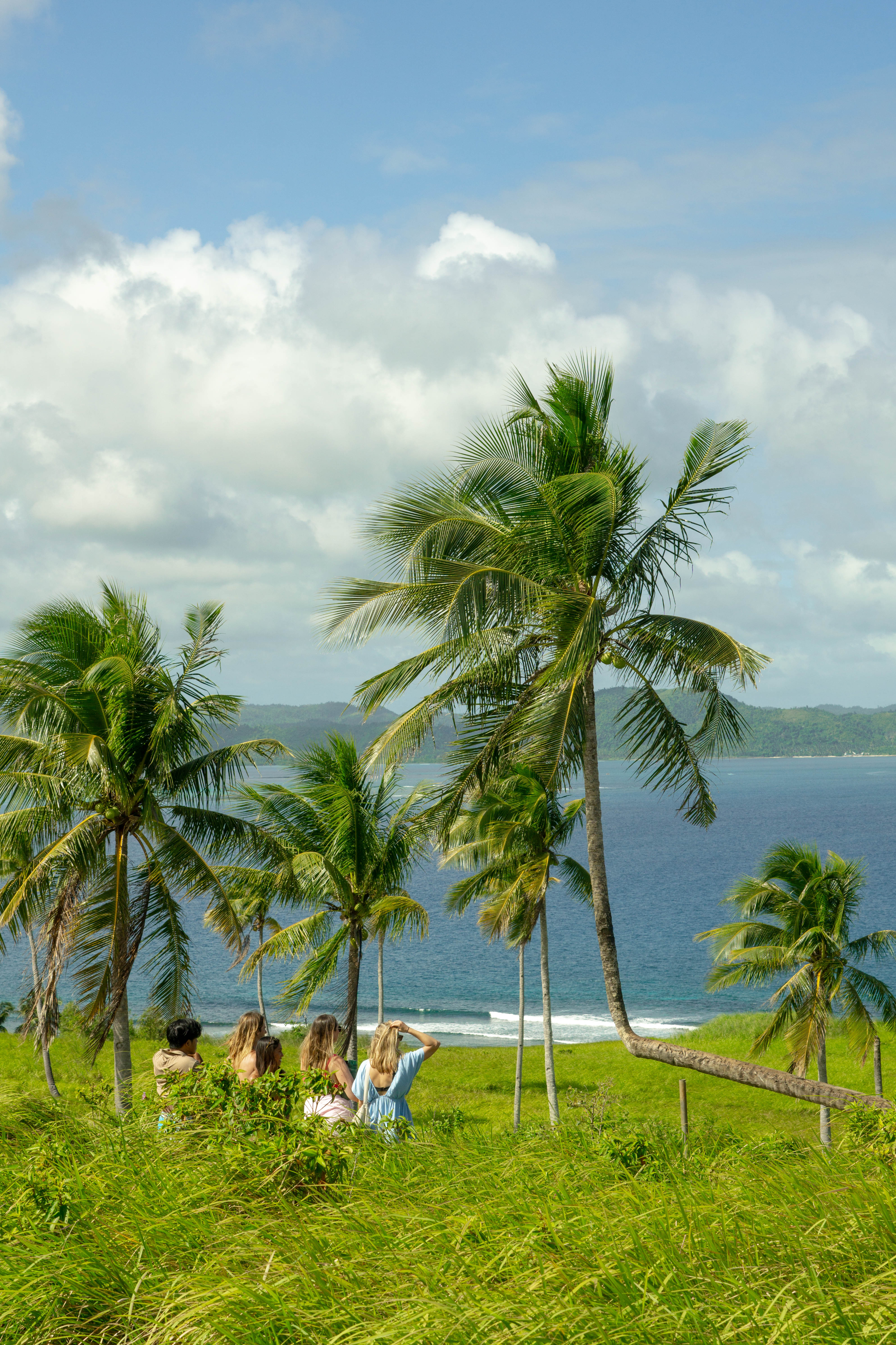 Travelers enjoying a tropical beach