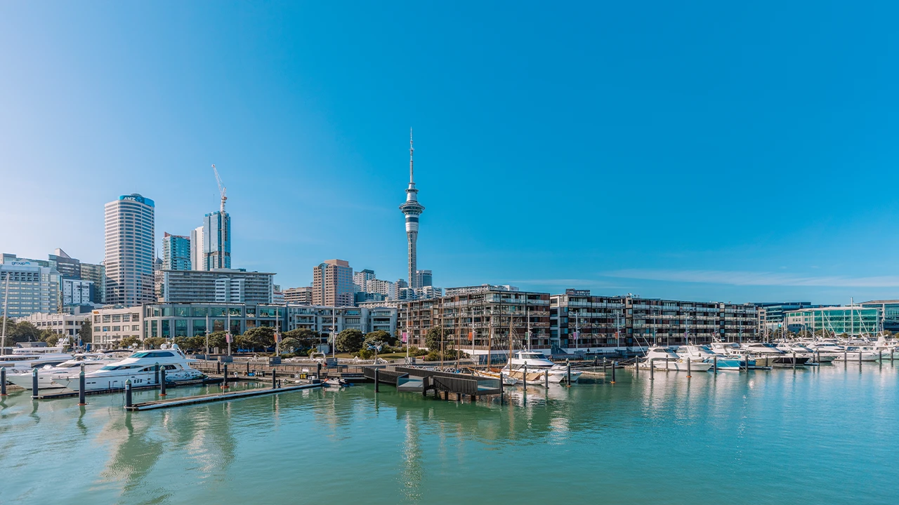 Auckland arrival