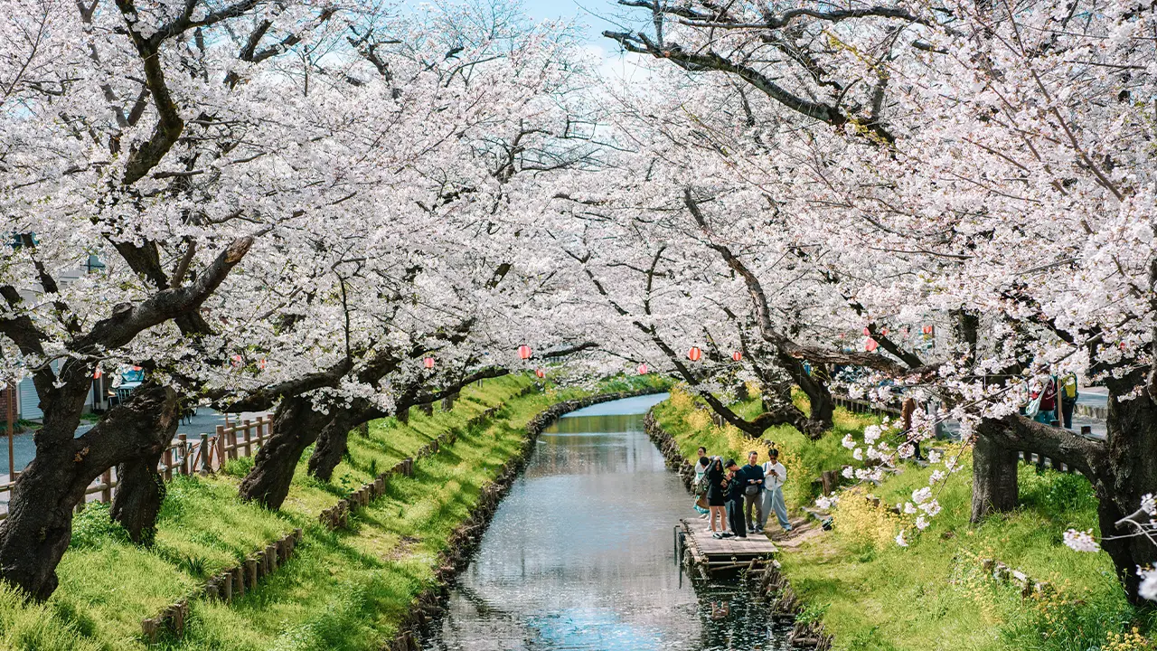 Japan travel photo 6