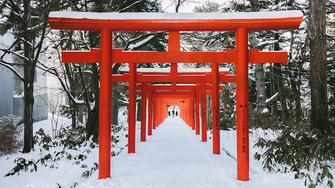 Japan travel photo 7