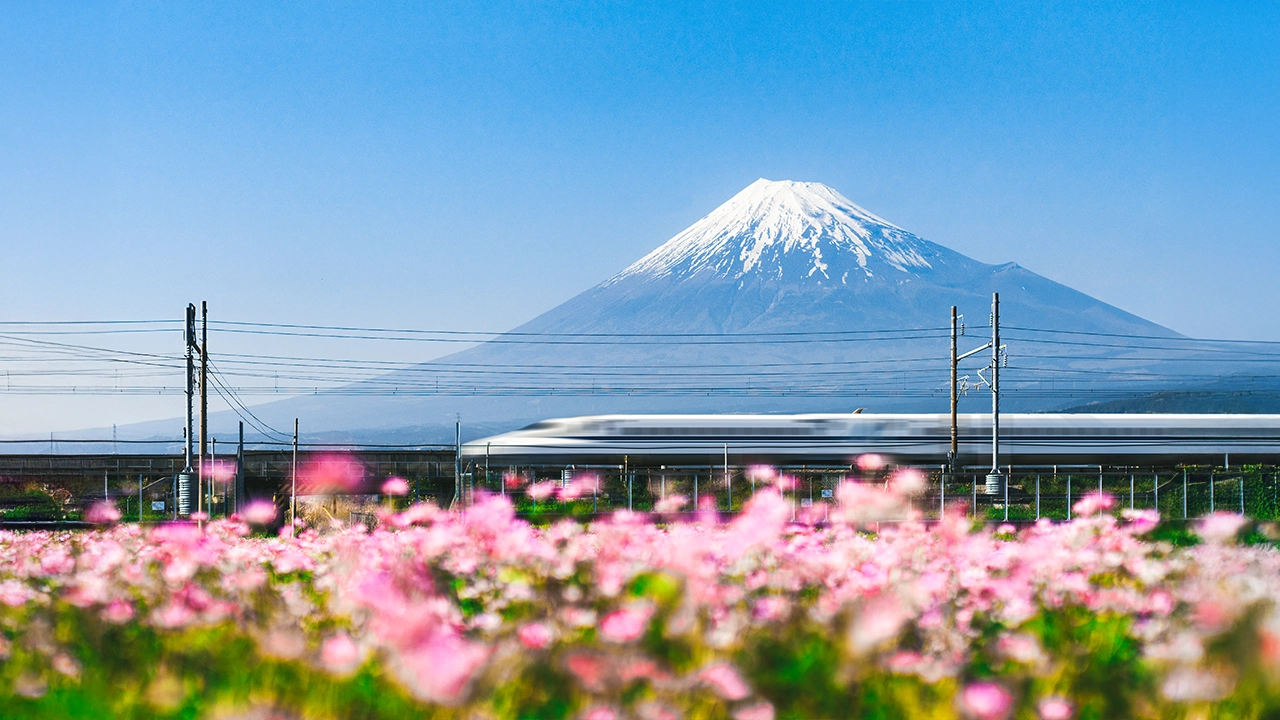 Cherry blossoms Japan