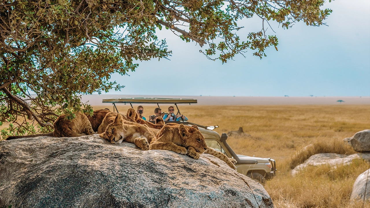 Early morning game drive in Ngorongoro Crater