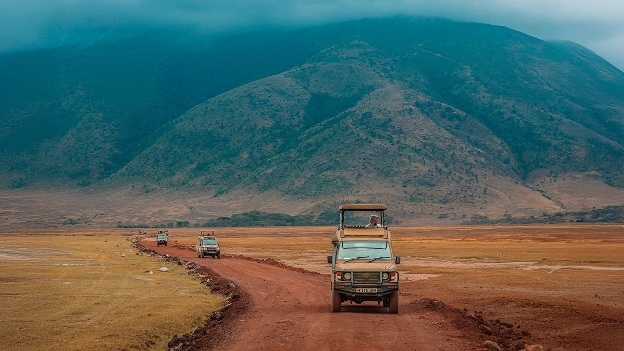 Safari Game Drive